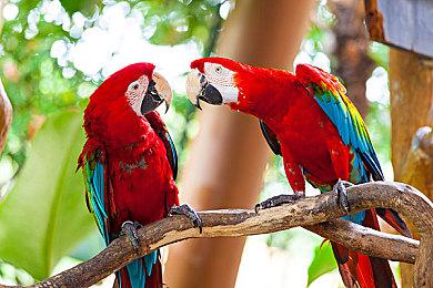 育碧分享13分钟时长《刺客信条：影》加长版实机演示